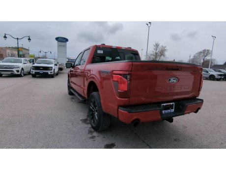 2024 Ford F-150 - 21819 Image 13