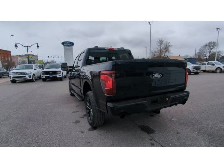2024 Ford F-150 - 21788 Image 7