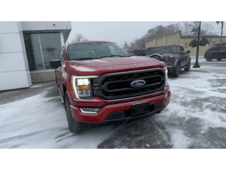 2023 Ford F-150 - 21725 Image 3