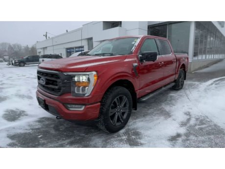 2023 Ford F-150 - 21725 Image 4