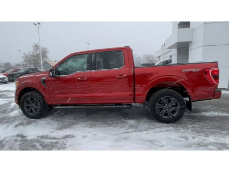 2023 Ford F-150 - 21725 Image 6