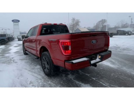 2023 Ford F-150 - 21725 Image 7