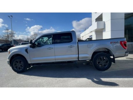 2023 Ford F-150 - 21761 Image 6