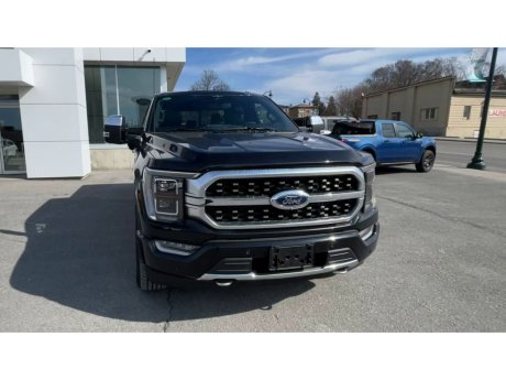 2023 Ford F-150 - 21778 Image 3