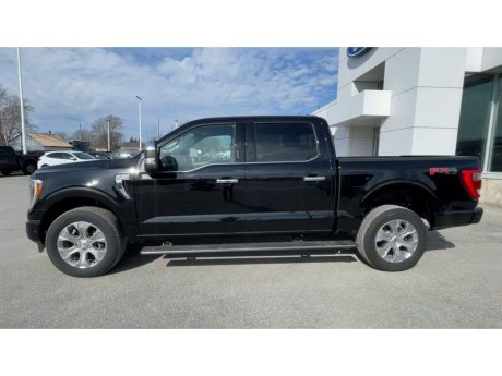 2023 Ford F-150 - 21778 Image 5