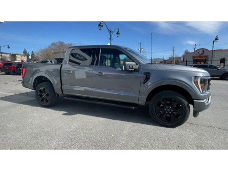 2023 Ford F-150 - 21807 Image 2