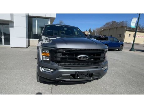 2023 Ford F-150 - 21807 Image 3