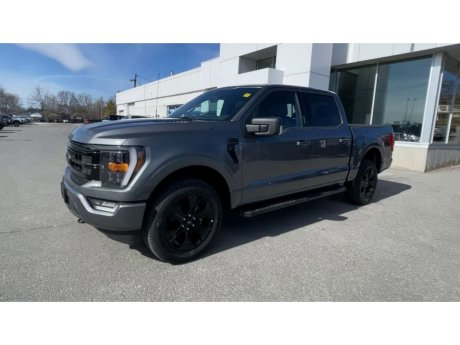 2023 Ford F-150 - 21807 Image 4