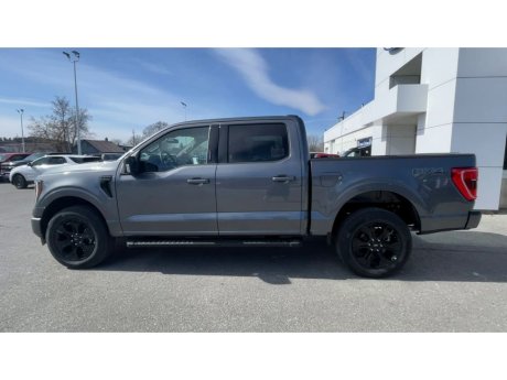 2023 Ford F-150 - 21807 Image 6