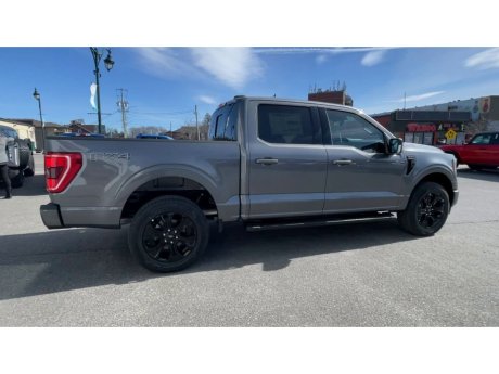 2023 Ford F-150 - 21807 Image 9
