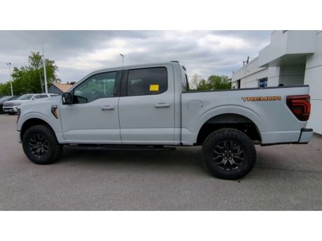 2024 Ford F150 - 21895 Image 6