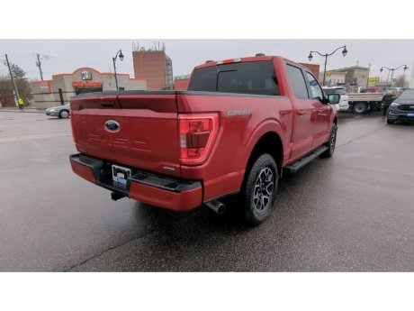 2021 Ford F-150 - P21821 Image 8