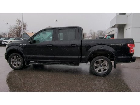 2020 Ford F-150 - 21761A Image 6