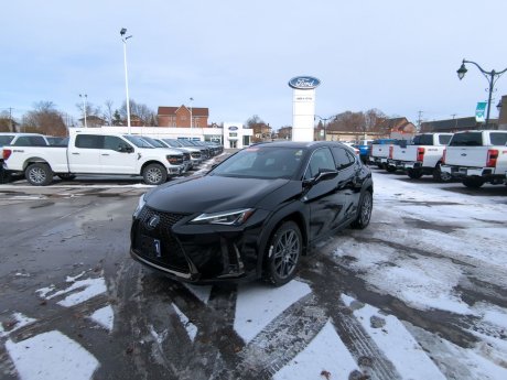 2021 Lexus UX Ux 250h 