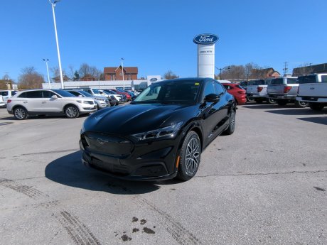 2024 Ford Mustang Mach-E Premium 300A 
