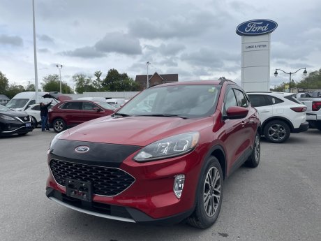 2020 Ford Escape Sel | LOW KMS | LEATHER 