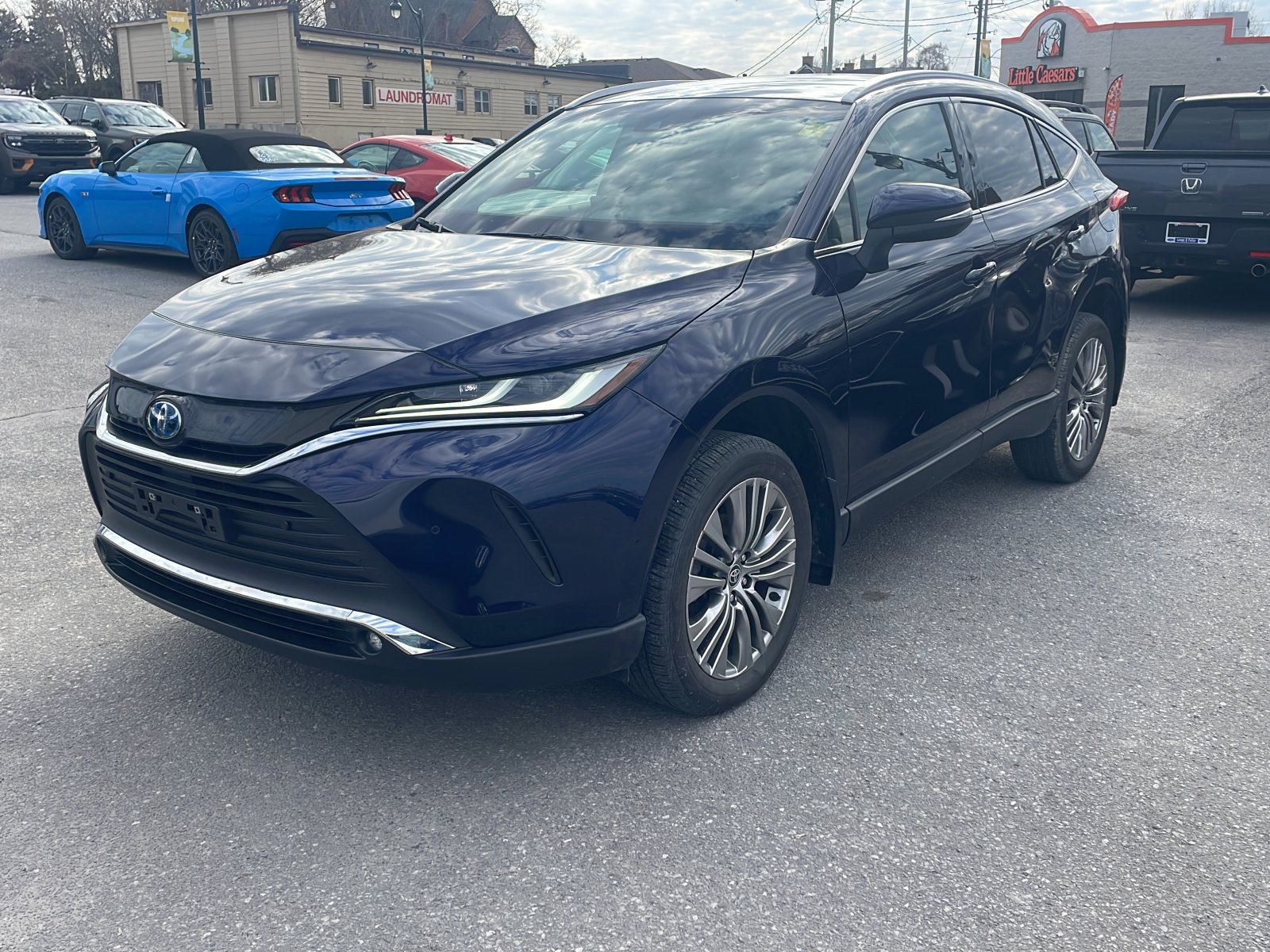 2024 Toyota Venza XLE AWD