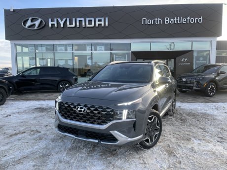 2021 Hyundai Santa Fe 2.5l Ultimate Calligraphy Awd 