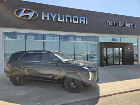 2025 Hyundai Palisade Ultimate Calligraphy Night 