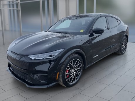 2022 Ford Mustang Mach-E Gt Performance Edition 