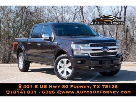 2019 Ford F-150 Platinum 