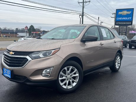 2019 Chevrolet Equinox LS 