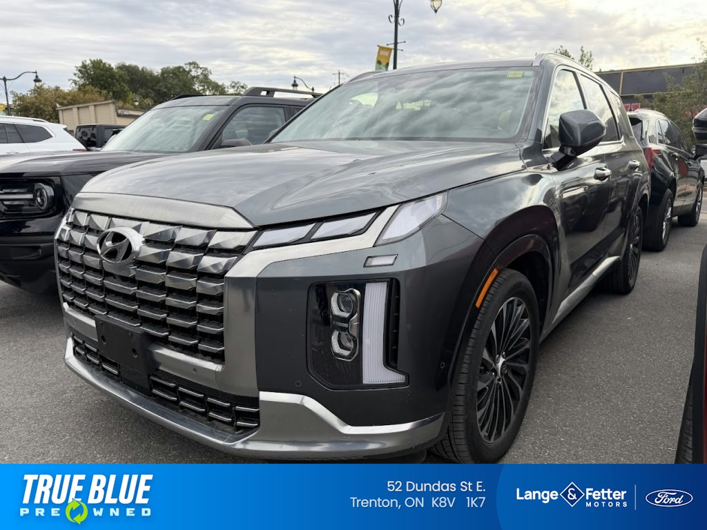 Gray 2025 Hyundai Palisade SUV / Crossover  Automatic